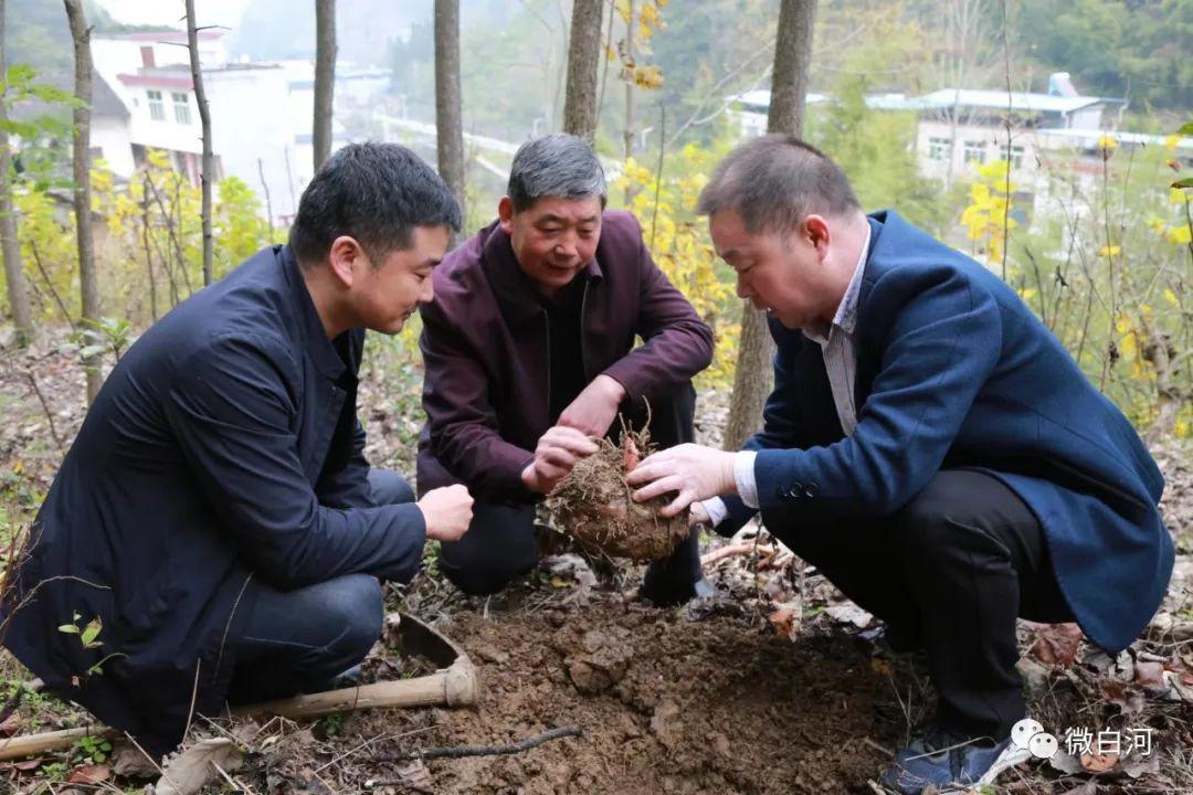 白河縣發展和改革局最新消息發布