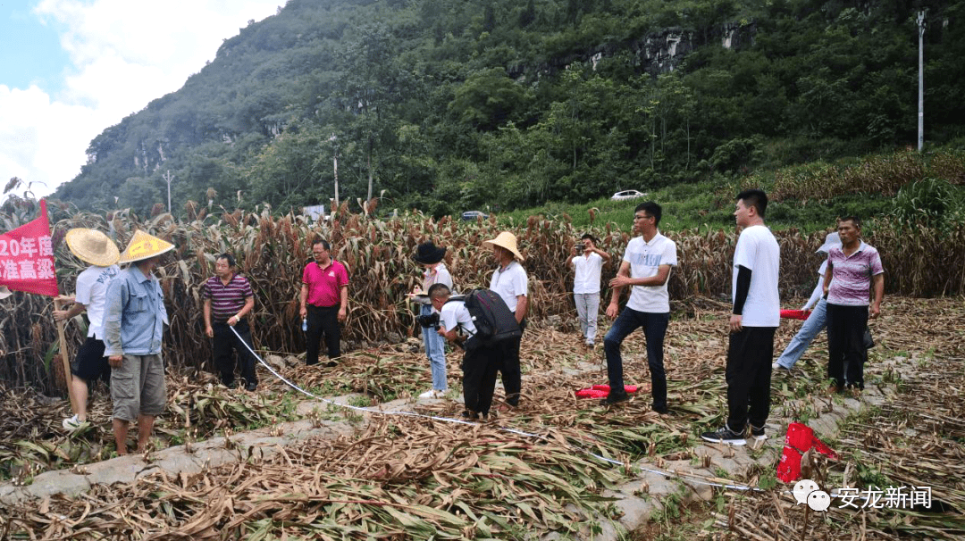 壺關縣農業農村局新項目推動農業現代化助力鄉村振興