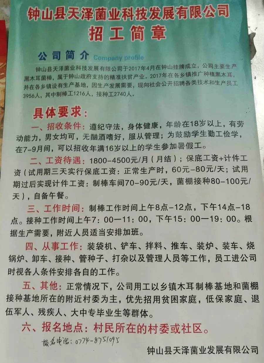 白色村最新招聘信息全面解析