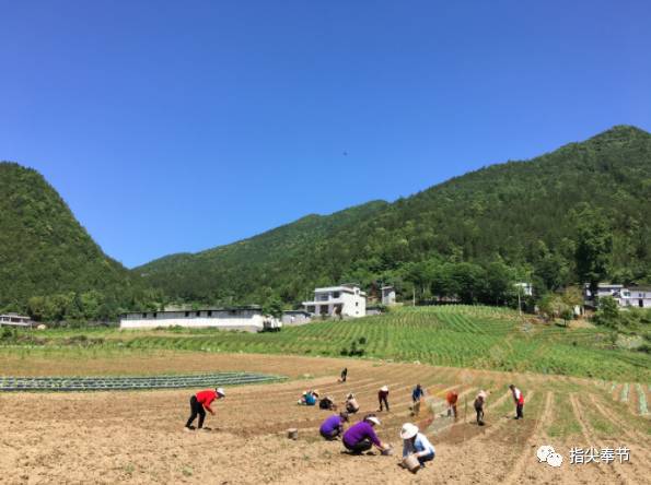 太和土家族鄉新項目啟動，鄉村振興與文旅融合迎來新篇章