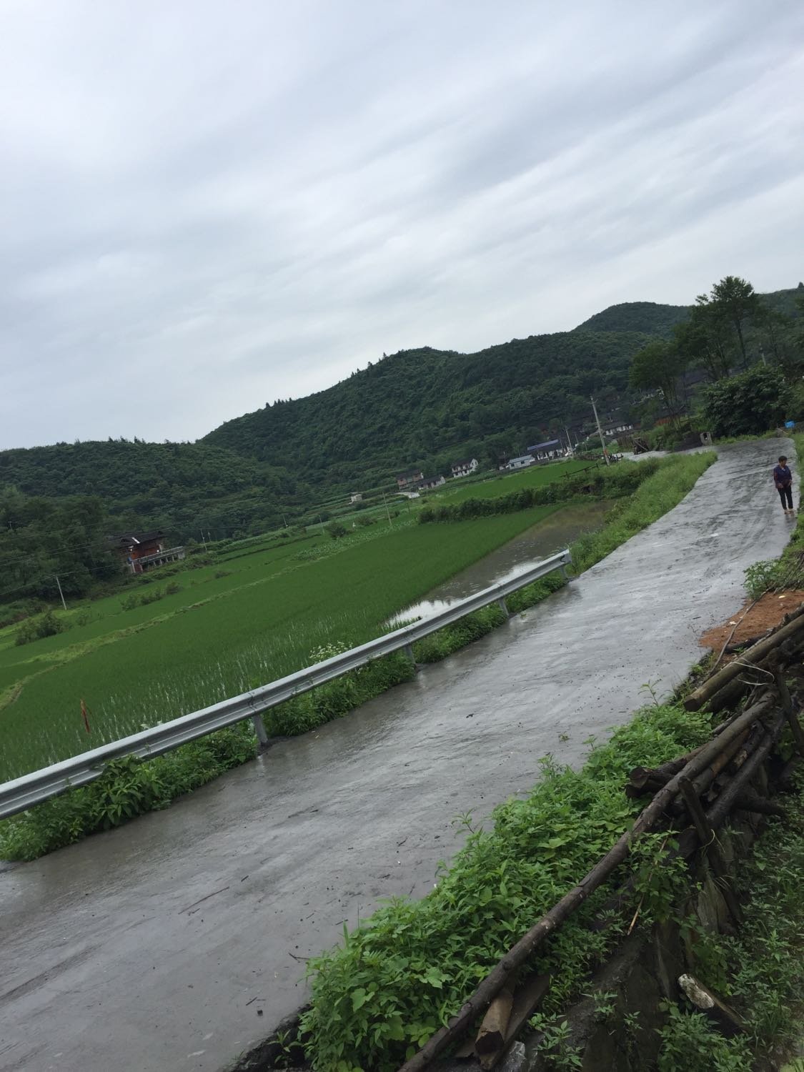 順江村最新天氣預報通知