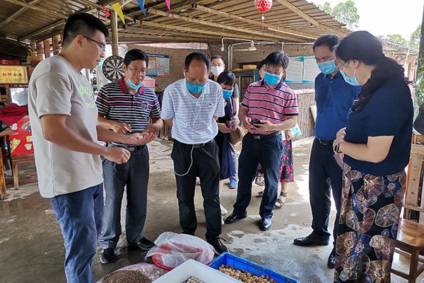 北海市農業局新項目引領農業現代化，鄉村振興再添助力